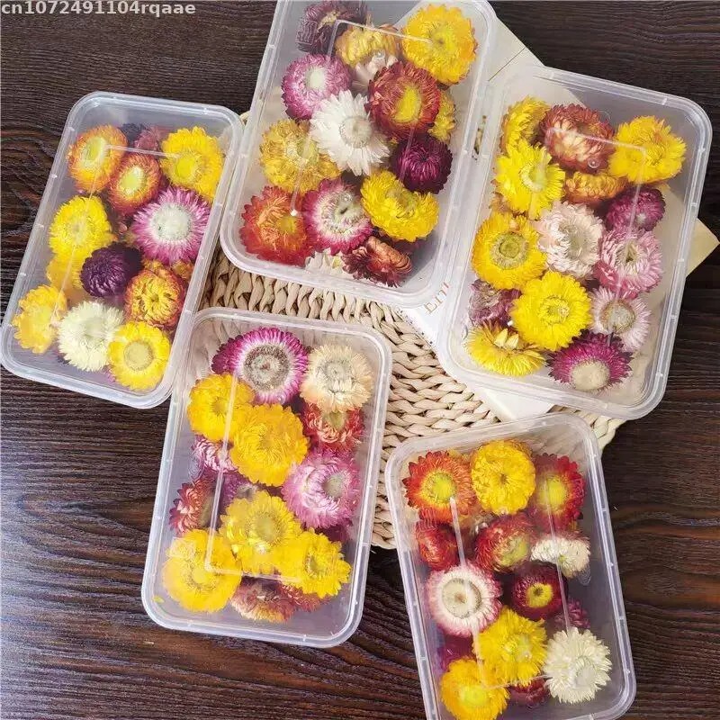 Flores Secas 100% Naturais Bra - Soap Making Material Wholesale avaliação e preço